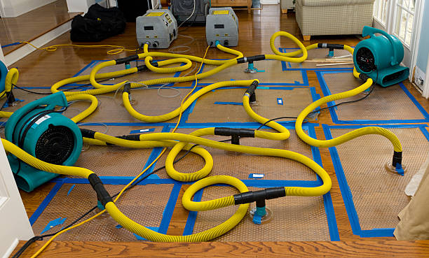 Professional Water Damage Repair technician working in Munroe Falls, OH
